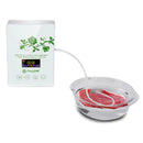 220v-110v-automtico-ultrasnico-cozinha-casa-esterilizador-de-alimentos-multifuncional-maquina-gerador-de-ozonio-standard-shop-brasil_caseiro_domestico-aparelho-de-ozonio
